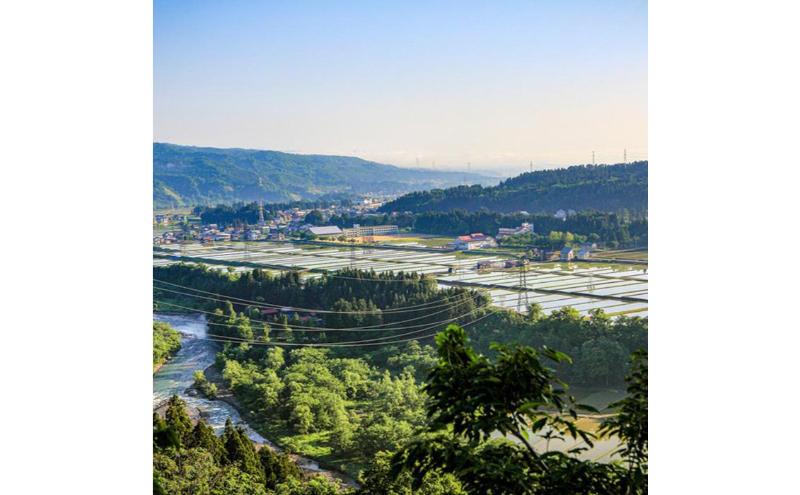 【令和7年産】定期便！魚沼産 新之助【合計30kg】5kg×6回 お米 米 こめ コメ