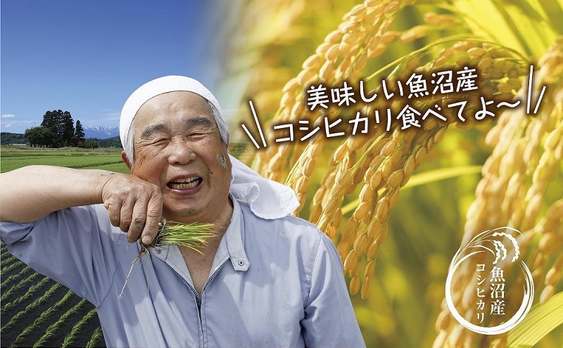 魚沼産 コシヒカリ 2kg お米 こしひかり 新潟 （お米の美味しい炊き方ガイド付き） 精米 ご飯 ブランド米 銘柄米