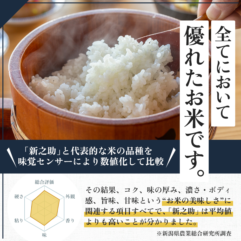令和7年産 魚沼産 新之助 8kg(2kg×4袋) お米 米 コメ