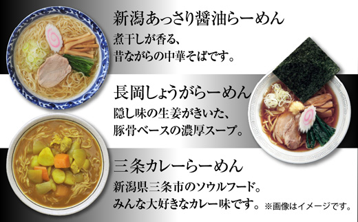 あっさり醤油 燕三条背脂 長岡しょうが 濃厚味噌 三条カレーらーめん 計10食 替え玉 詰め合わせ 無地熨斗 しょうゆ みそ 備蓄 お取り寄せ ギフト  のし 熨斗 松代そば善屋 新潟県 十日町市: 十日町市ANAのふるさと納税