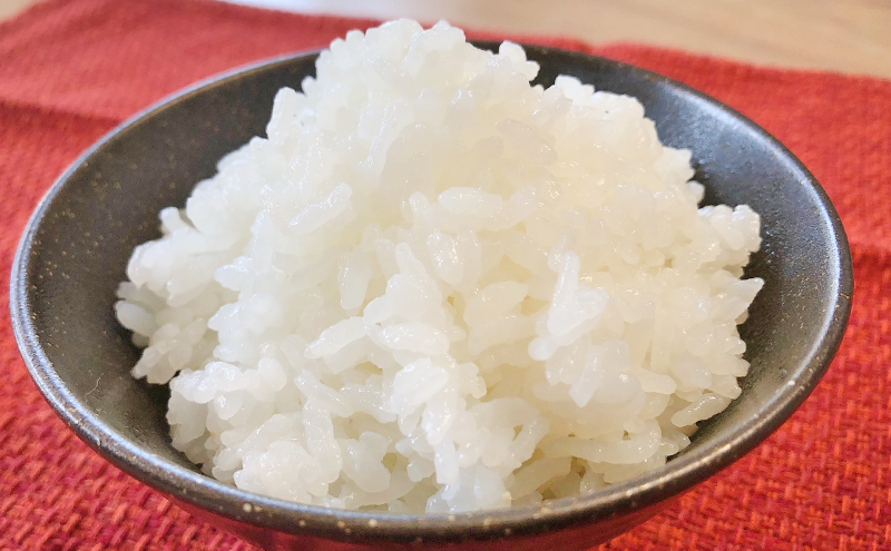 米 2025年産　十日町産こしひかり　精米5kg コシヒカリ コメ 十日町市