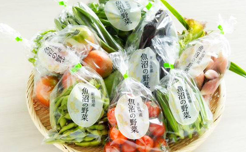 夏野菜詰め合わせ　おまかせセット 野菜　茶豆 とうもろこし トマト なす きゅうり ピーマン ズッキーニ おまかせ 新潟県 十日町市
