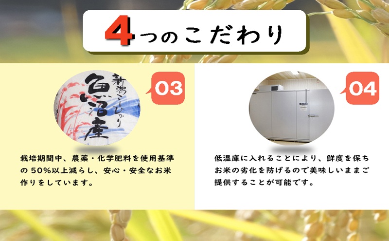 魚沼産コシヒカリ　厳選　低温管理　自社精米　5kg　新潟　こしひかり