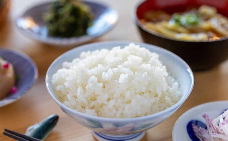 令和7年産 魚沼産コシヒカリ 精米2kg お米 こしひかり