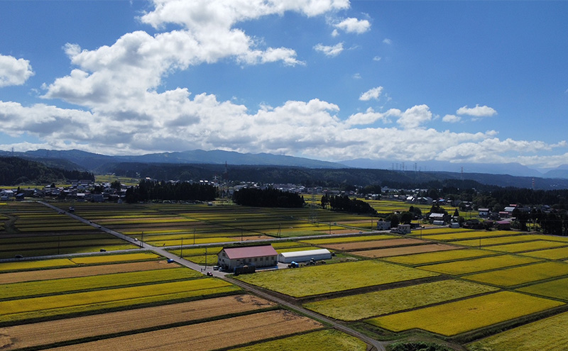 令和7年産 定期便 魚沼産 コシヒカリ 精米2kg×6回 お米 こしひかり