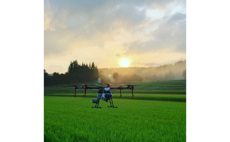 令和７年産【１０月発送開始！】魚沼産特別栽培米コシヒカリ［清津の恵］精米10kg（5kgx2袋）
