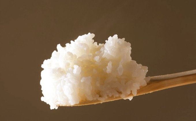 【令和7年産】特別栽培米 魚沼産コシヒカリ5kg お米 おこめ こめ 精米 白米 こしひかり 新潟