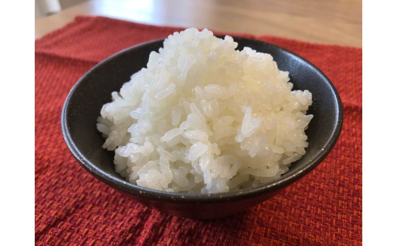 【2025年度産】魚沼産特別栽培米コシヒカリ 5kg お米 おこめ こめ 精米 白米 こしひかり 新潟