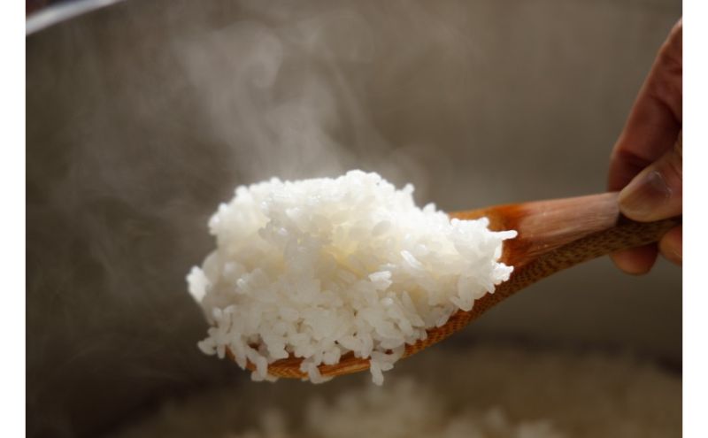 【12カ月定期便】新潟米新之助（精米）2kg