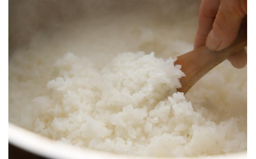 12カ月定期便【特別栽培米】頂米金兵衛　魚沼産コシヒカリ（精米）5kg