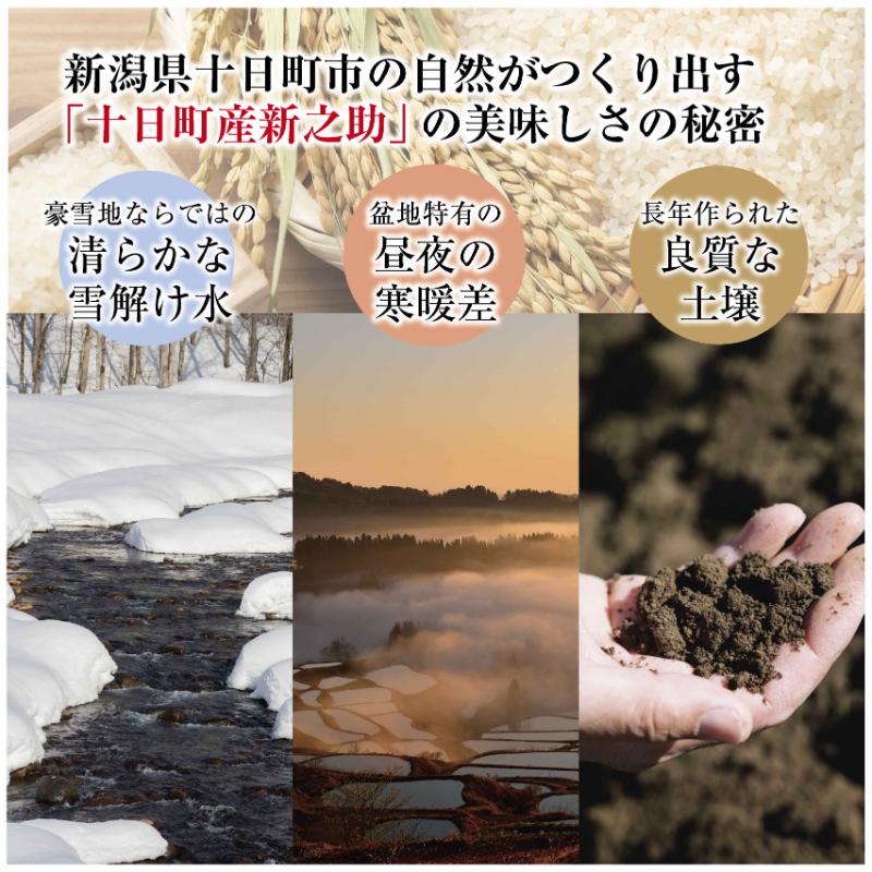 令和7年産 魚沼産 新之助 5kg×2 米 お米 コメ プレミアム米 新潟 魚沼 魚沼産 白米 送料無料 新潟県産 精米 産直 産地直送 契約農家 お取り寄せ 魚沼三昧 川治米店 新潟県 十日町市 大粒 甘み