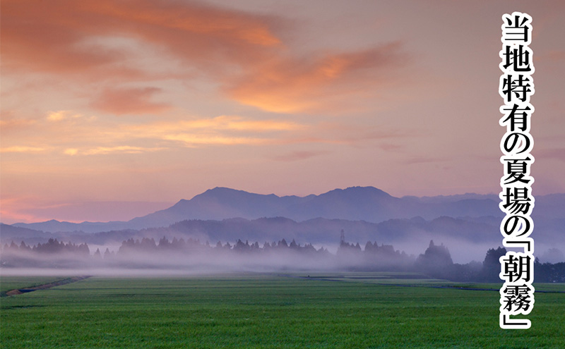 【厳選☆十日町育ち】“特別栽培米” 魚沼産コシヒカリ　5kg