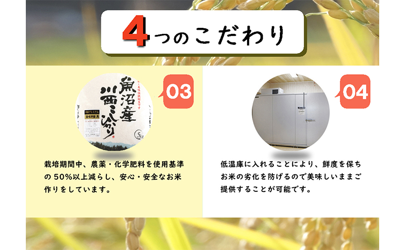 魚沼産川西こしひかり5kg×5