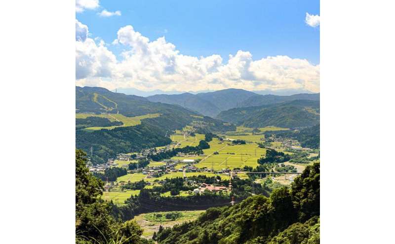 【令和7年産】定期便！魚沼産 新之助【合計120kg】20kg×6回 お米 米 こめ コメ