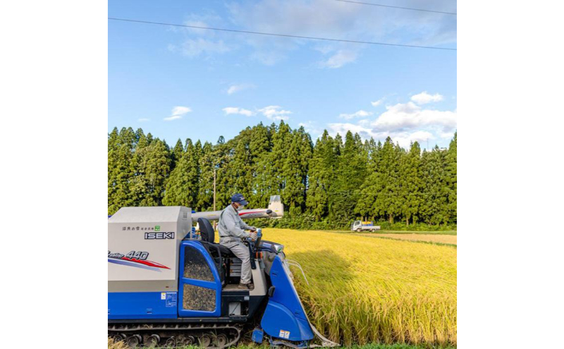 【令和7年産】定期便！魚沼産 新之助【合計30kg】5kg×6回 お米 米 こめ コメ