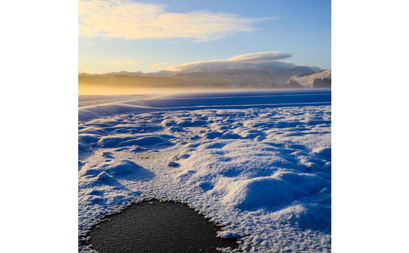 【令和7年産】定期便！魚沼産 新之助【合計60kg】10kg×6回 お米 米 こめ コメ