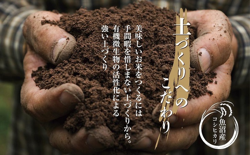 魚沼産 コシヒカリ 2kg ×4袋 計8kg お米 こしひかり 新潟 （お米の美味しい炊き方ガイド付き） 精米 ご飯 ブランド米 銘柄米