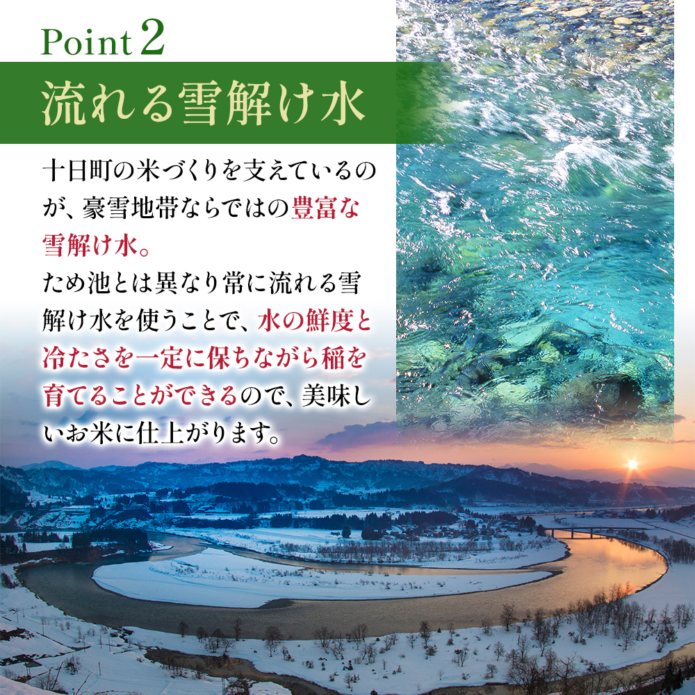 令和7年度産【十日町産】 魚沼産コシヒカリ15kg 米 お米 こしひかり 精米 新潟