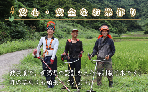 【定期便／全4回】玄米3kg 新潟県魚沼産コシヒカリ「山清水米」