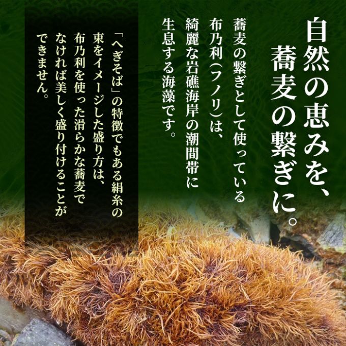 小嶋屋総本店　布乃利へぎそば10把