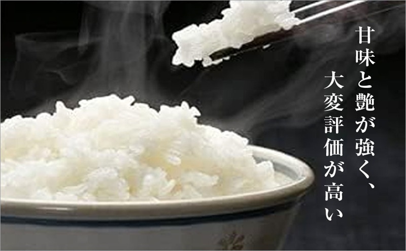 【定期便／3ヵ月】魚沼産コシヒカリ　5kg　厳選　低温管理　自社精米　新潟　こしひかり