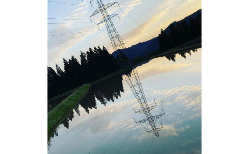 令和7年産魚沼産産特別栽培米コシヒカリ［清津の恵］精米5kg