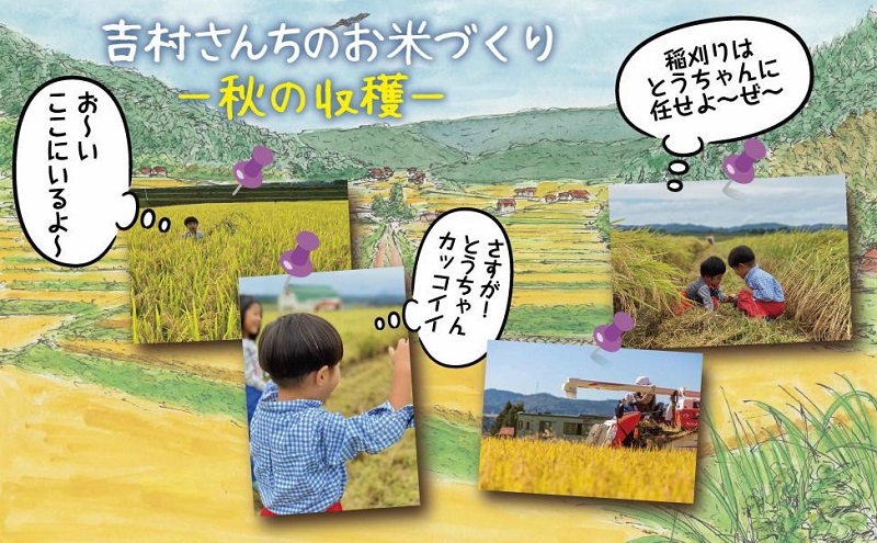 ｜従来品種｜ 魚沼産 コシヒカリ 5kg 米 こしひかり お米 コメ 新潟 魚沼 魚沼産 白米 送料無料 新潟県産 精米 産直 農家直送 お取り寄せ 吉村さんちのお米 新潟県 十日町市