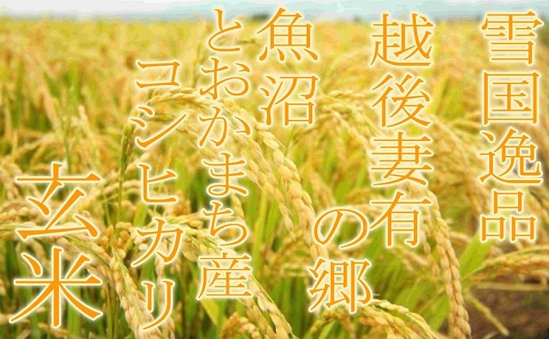 ●定期便・玄米●【雪国逸品5kg×3ヶ月】 越後妻有の郷 魚沼十日町産コシヒカリ