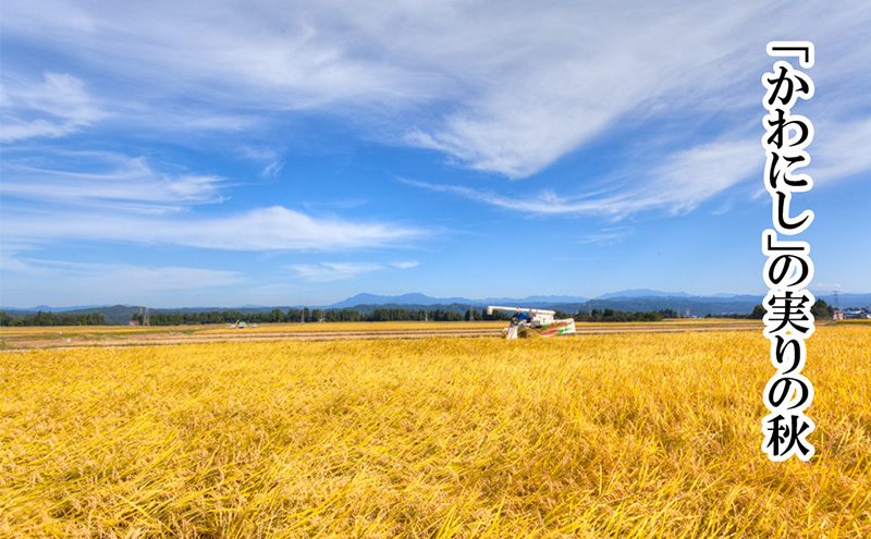 【厳選☆十日町育ち】“特別栽培米” 魚沼産コシヒカリ　5kg