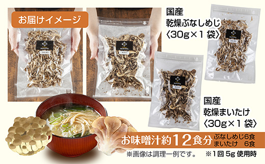 乾燥きのこ 2種セット（ぶなしめじ・まいたけ）／国産 乾燥 ぶなしめじ 30g 舞茸 30g 各1袋 ブナシメジ まいたけ マイタケ ドライ きのこ キノコ 無添加 国産 だし 時短 ダイエット