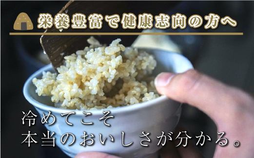【令和8年産 新米】 【定期便／全3回】玄米10kg 新潟県魚沼