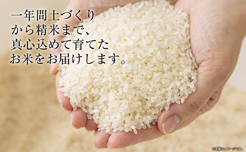 【令和8年産 新米】 新潟県 魚沼産 コシヒカリ お米 5kg 精米
