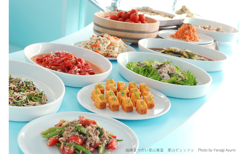 大地の芸術祭 越後妻有アートトリエンナーレ2024  作品鑑賞パスポート 3冊