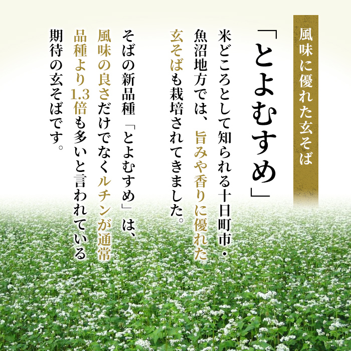 小嶋屋総本店　最高級乾麺魚沼手繰りそば5把つゆ付
