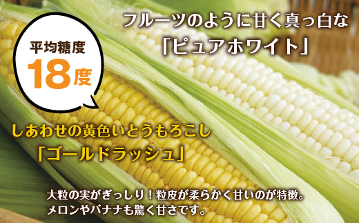 ｜先行予約受付｜令和7年産 朝採れ とうもろこし ゴールドラッシュ ピュアホワイト Lサイズ 各8本 計16本 食べ比べ 産地直送 農園 野菜 わくわくファーム 送料無料