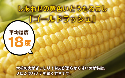 令和7年産 朝採れ とうもろこし ゴールドラッシュ Lサイズ 16本 甘い 国産 トウモロコシ 産地直送 新鮮 フレッシュ コーン 農園 野菜 農作物 わくわくファーム 送料無料 グルメ