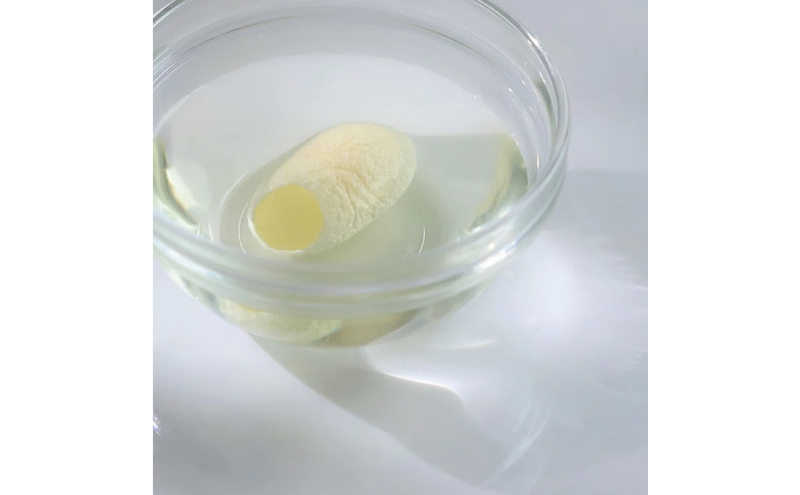 《絹生活研究所》みどり繭「まゆ玉」（5個入）3袋セット