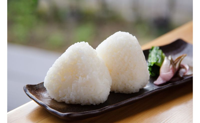 江戸伝承棚田米４Kg（２kg×２）