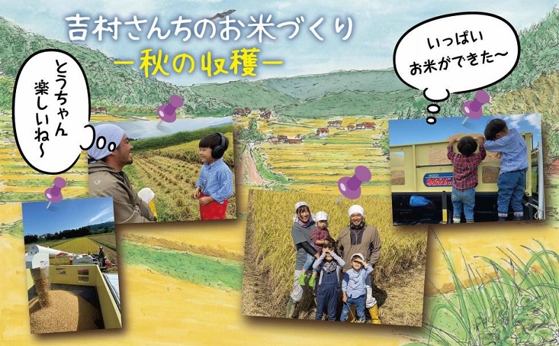 ｜従来品種｜ 魚沼産 コシヒカリ 5kg ×2袋 計10kg 米 こしひかり お米 新潟 魚沼 魚沼産 白米 送料無料 新潟県産 精米 産直 農家直送 お取り寄せ 吉村さんちのお米 新潟県 十日町市