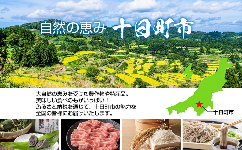 熨斗 笹だんご 50g × 10個 袋入り つぶあん 冷凍 笹団子 新潟