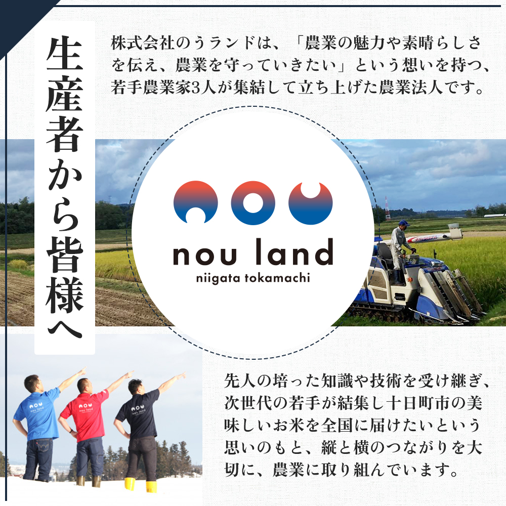 令和7年産 定期便 魚沼産 新之助 精米2kg×3回 お米 こめ コメ