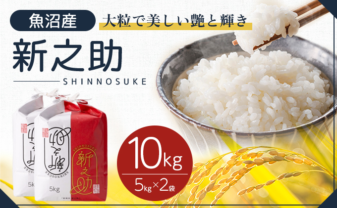 令和7年産 魚沼産 新之助 10kg(5kg×2袋) お米 米 コメ