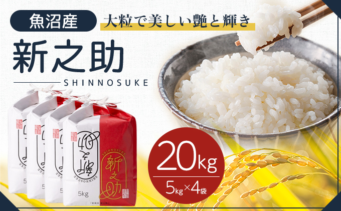 令和7年産 魚沼産 新之助 20kg(5kg×4袋) お米 米 コメ