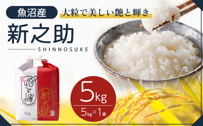 令和7年産 魚沼産 新之助 5kg お米 米 コメ