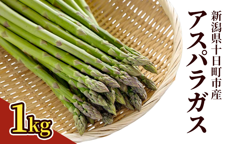 アスパラガス 1kg 野菜 アスパラ 新潟県 十日町市