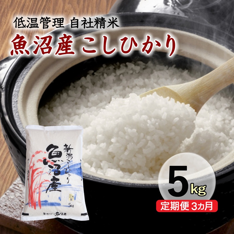 【定期便／3ヵ月】魚沼産コシヒカリ　5kg　厳選　低温管理　自社精米　新潟　こしひかり