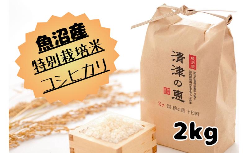 令和７年産【１０月発送開始！】魚沼産特別栽培米コシヒカリ［清津の恵］精米2kg（１kgx2袋）