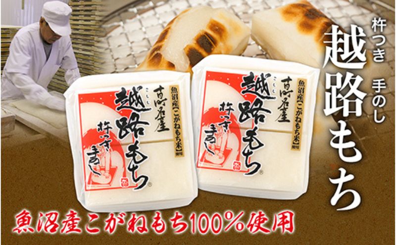 魚沼産こがねもち１００％使用 令和7年産 越路もち500g×2 餅