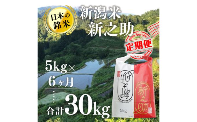 【6カ月定期便】新潟米新之助（精米）5kg