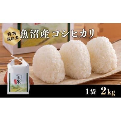 【特別栽培米】頂米　金兵衛　魚沼産コシヒカリ（精米）2kg